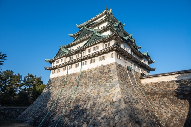 名古屋城天守と、見上げるほど高く積まれた石垣